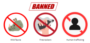 Things that are "not allowed" when setting up a company